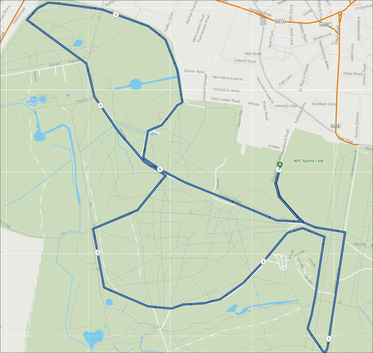 Course Map Wedding Day 7K Course Map